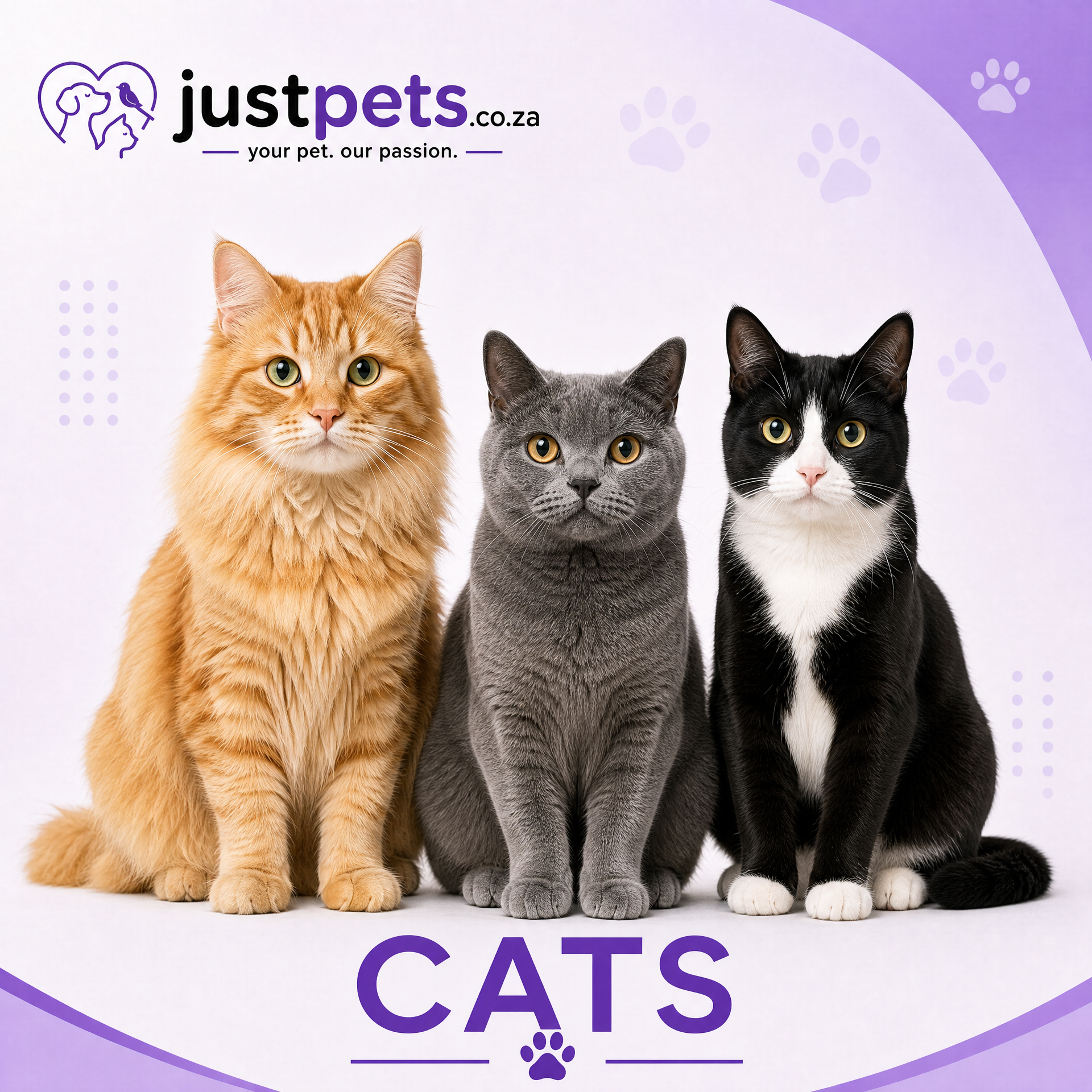 CATS