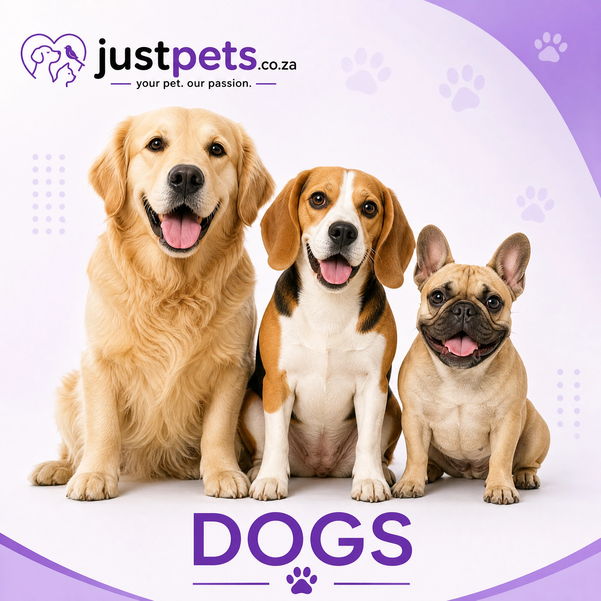 DOGS