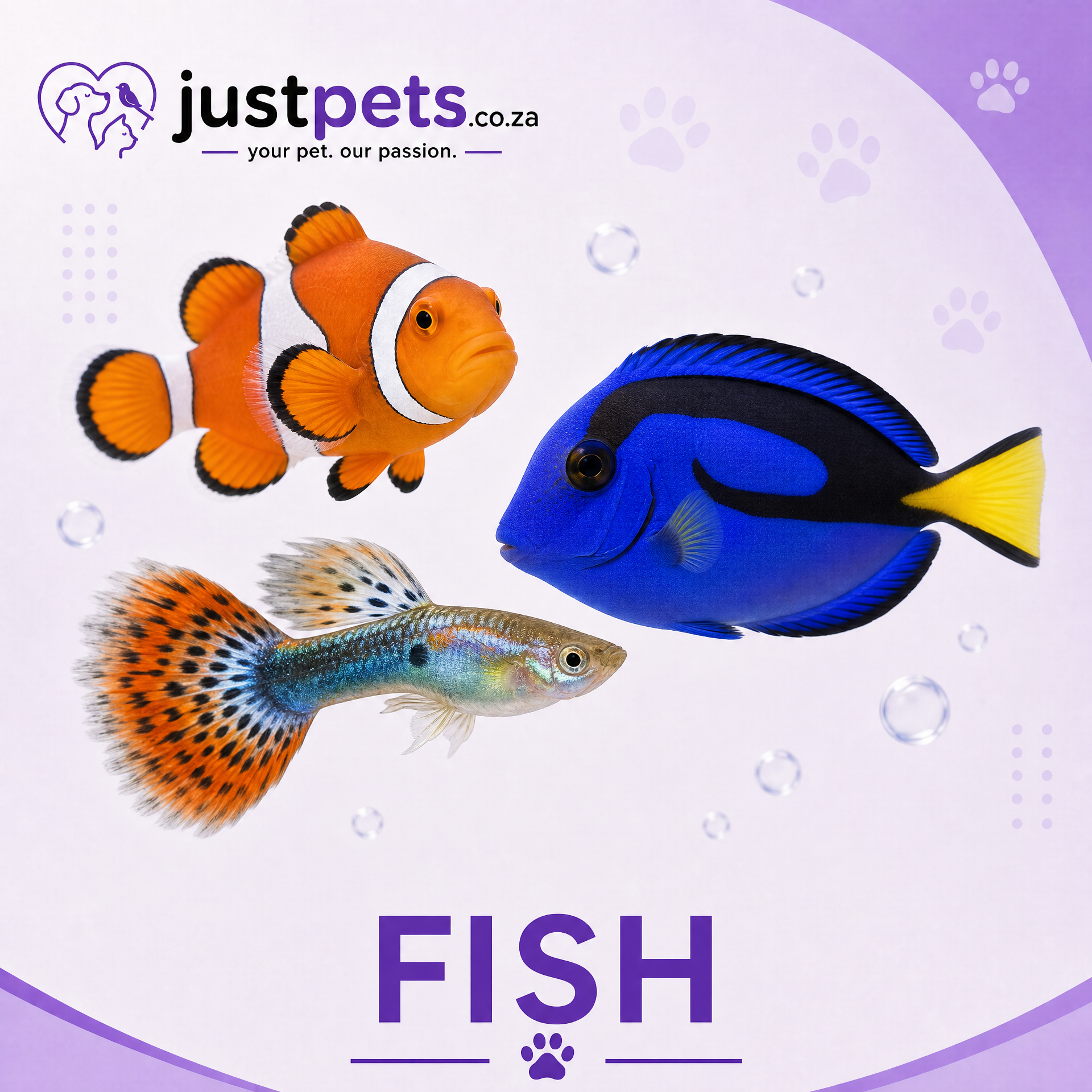 FISH